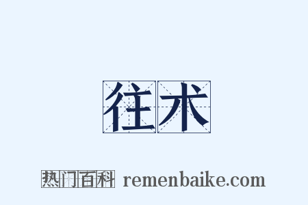 往术是什么意思的图片
